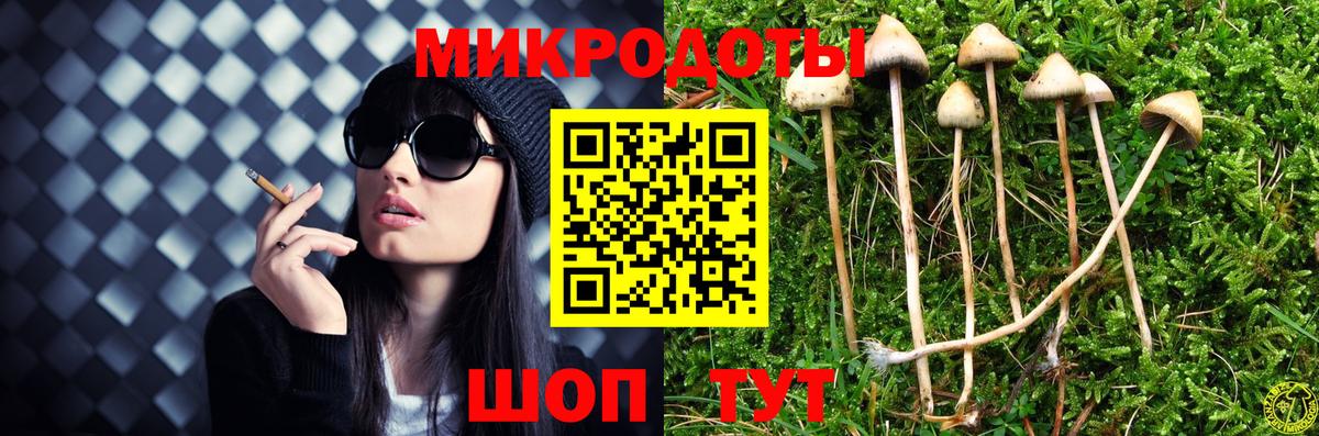 Псилоцибиновые грибы ЛСД Нижнекамск